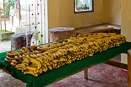 tableful of bananas