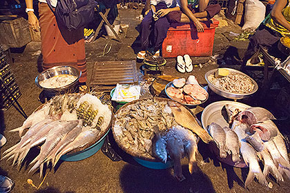 fish for sale