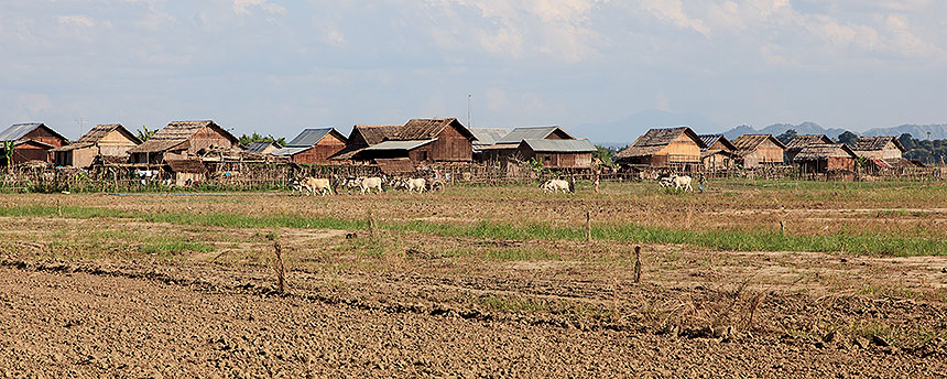 field and village