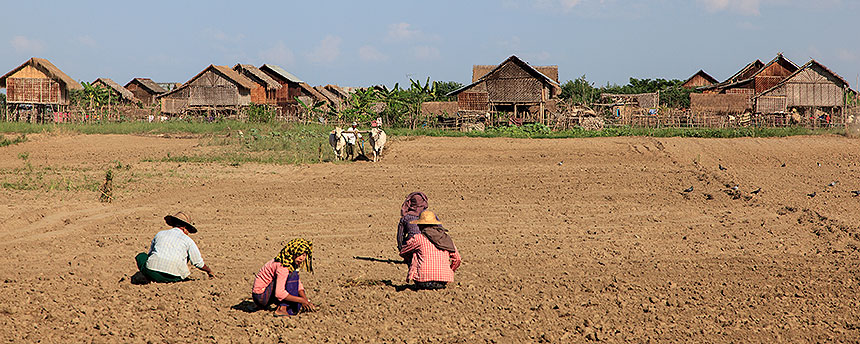 field and village