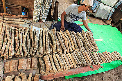 man with thanakha logs