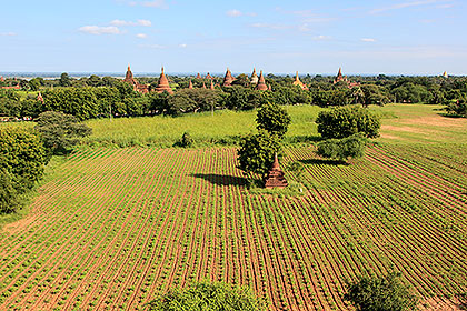 crops and temples