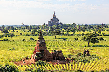 crops and temples