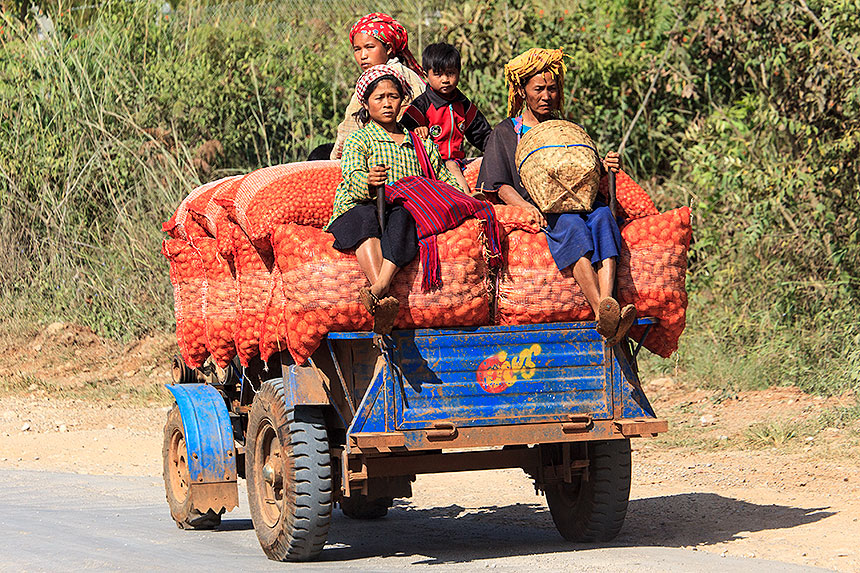 truck hauling onions