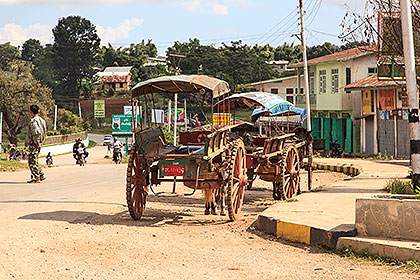 parked carts