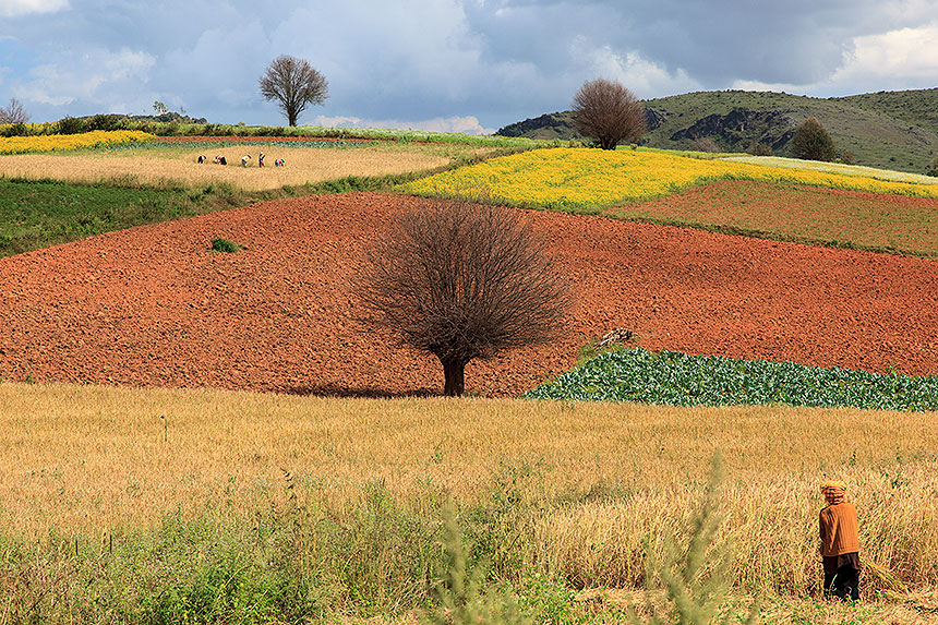 landscape