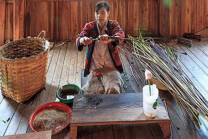 worker with lotus