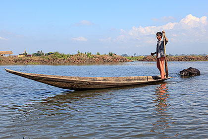 boat towing water buffalo