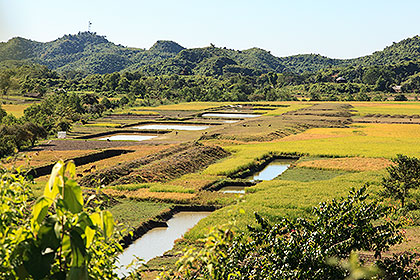 fields and ponds