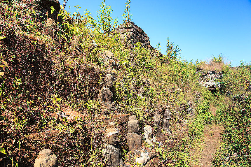 overgrown walls