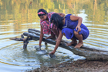 collecting water