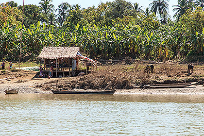 river shoreline