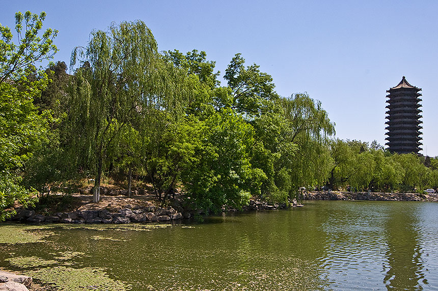 Lake and pagoda