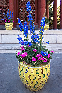 Urn with flowers