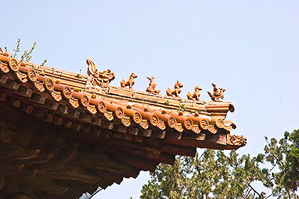 Roof detail