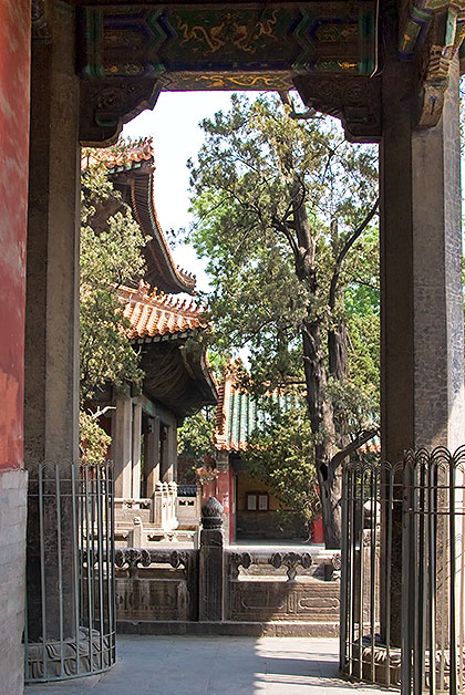 View through arch