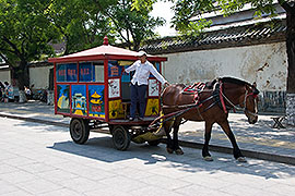 Horse-drawn bus