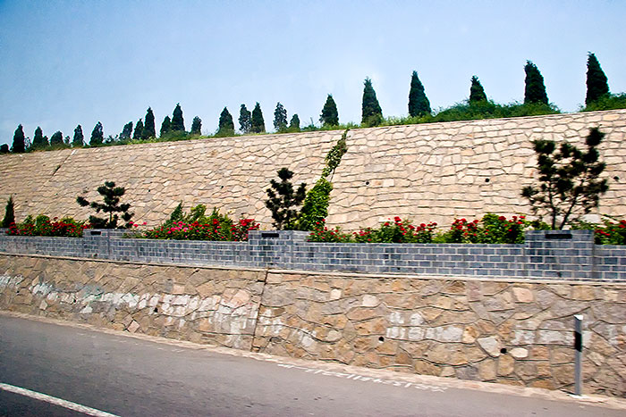 Plantings by highway