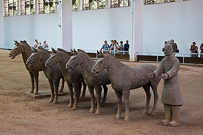 Horses