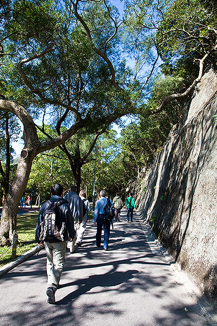 Victoria Peak Circuit trail