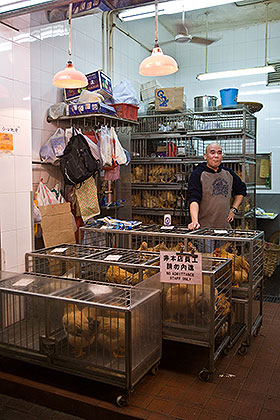 Live poultry vendor