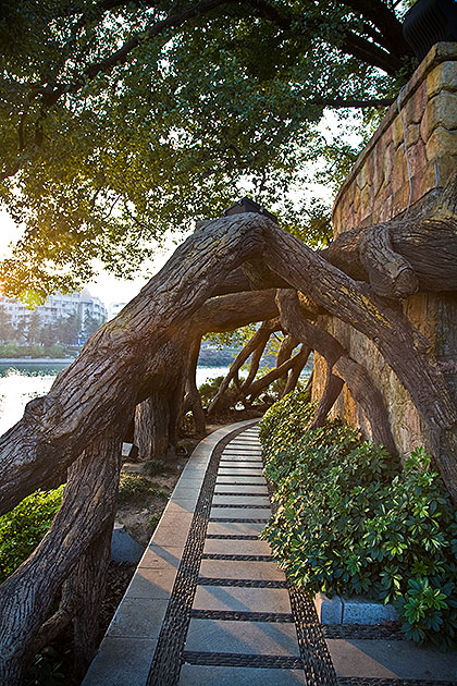 Path along lake