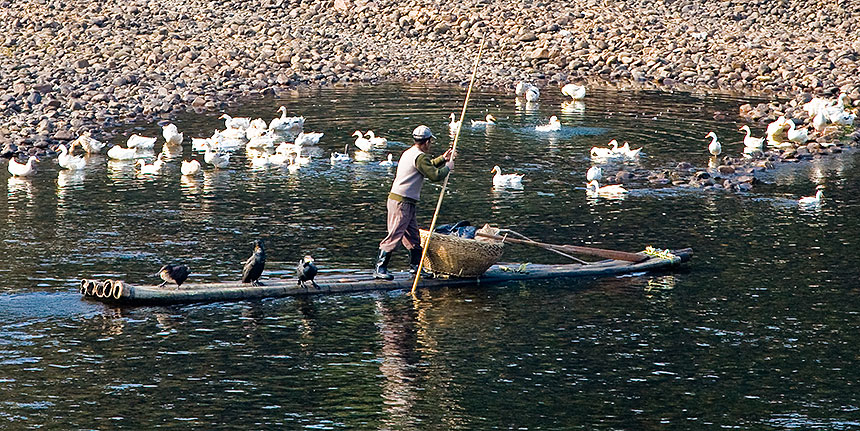 Fisherman with birds