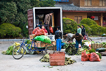 Vegetables being unloaded from truck