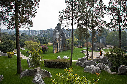 Stone Forest