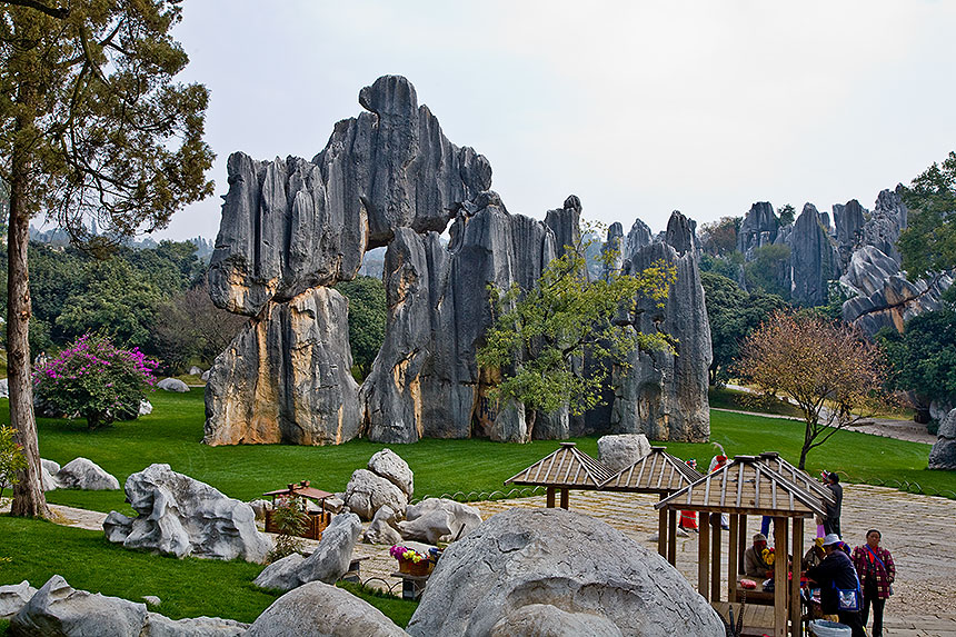 Stone Forest