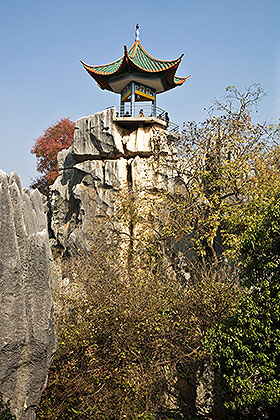 Stone Forest