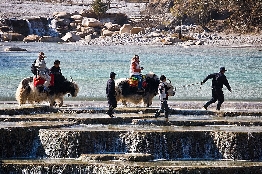 People riding yaks