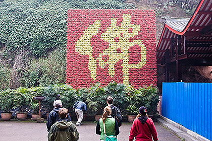 Floral display