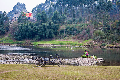 Washing vegetables in river