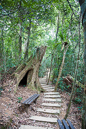 Trail view