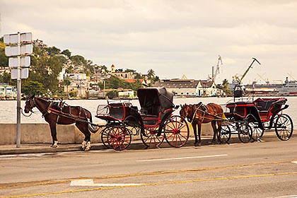 horsedrawn carriages