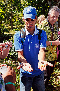 guide showing coffee beans