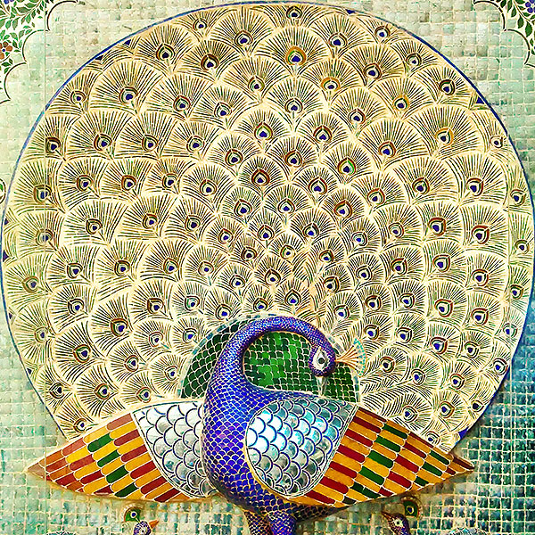 Left peacock