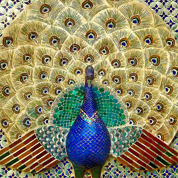 Center peacock