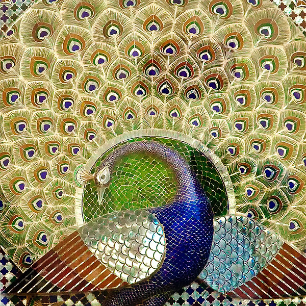 Right peacock