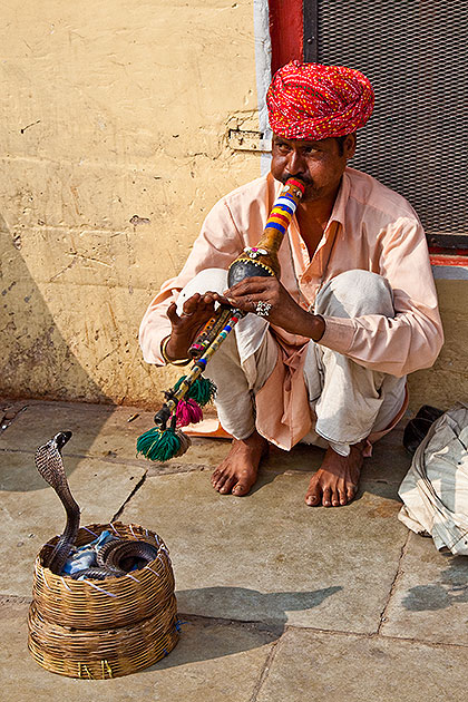 Snake charmer