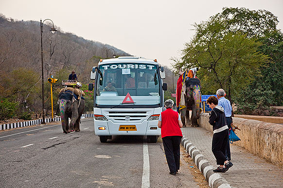 Bus and elephant