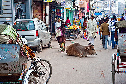 Rickshaw ride