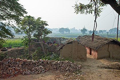 Mud brick and thatch