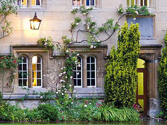 flowers on building