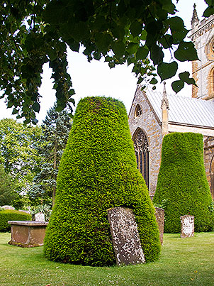 churchyard