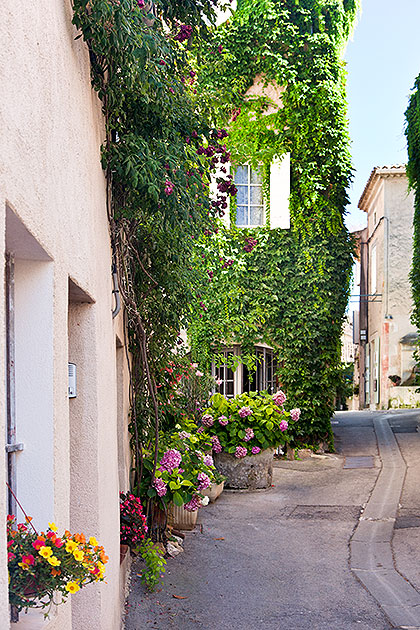 Flowery Lane