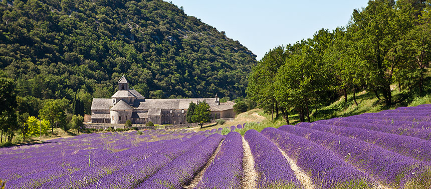 Senanque Abbey