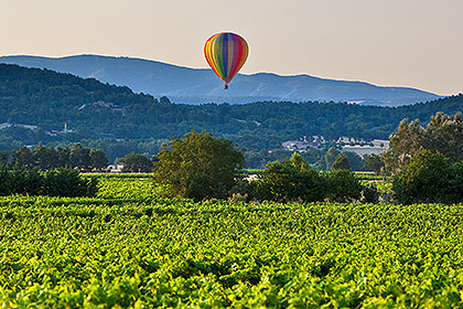 Balloon over vineyard