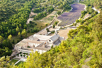 Senanque Abbey